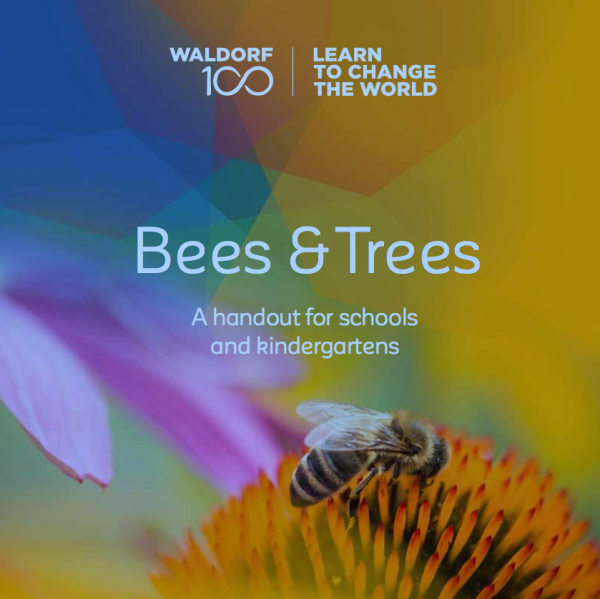 Broschüre Bees & Trees /Englisch 36 Seiten im Format 21,0 x 21,0 cm