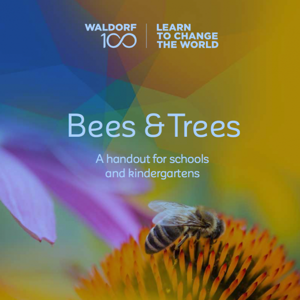 Broschüre Bees & Trees Englisch